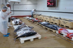 2015-01-06- visite Fisher TNOF (4)