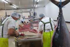 2015-01-06- visite Fisher TNOF (3)