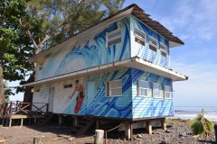 2015-01-27-MJF VISITE COMPLEXE SPORTIF (34)