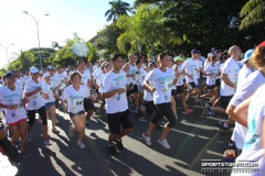 Tri-des-entreprises-12