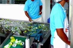 Taipora noni s'attaque au marché américain 4