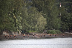 Il y avait même une partie course à pied avant la natation