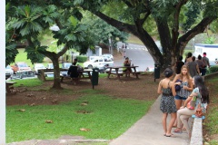 La rentrée universitaire.