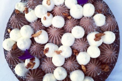 Les rêves de Lucie.