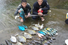 première place pour Tuhei et Teehau en novices. Sérieux, ils s'entraînement régulièrement et les résultats sont là (photo d'entrainement)