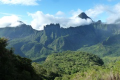 Vue du plateau de Maraeti'a. Les vestiges de la forêt naturelle sont en bord de plateau, en fond d'image. Crédit : JYM.