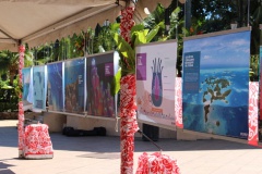 Du 2 au 9 octobre, l’équipage vous donne rendez-vous à l’Espace Tara, où se tient l’exposition Tara Pacific, la biodiversité des récifs coralliens face au changement climatique