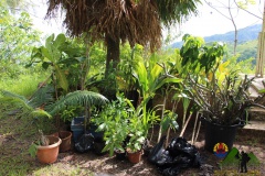 16593680_10207116650709467_410271333_o