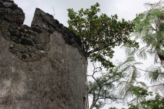 Le fortin est envahi par la végétation. La société à l'œuvre va s'en débarrasser.