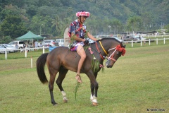 16-course en pareu 3