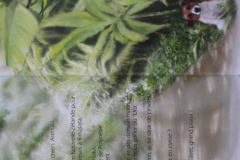 'Ura, la perruche de Rimatara