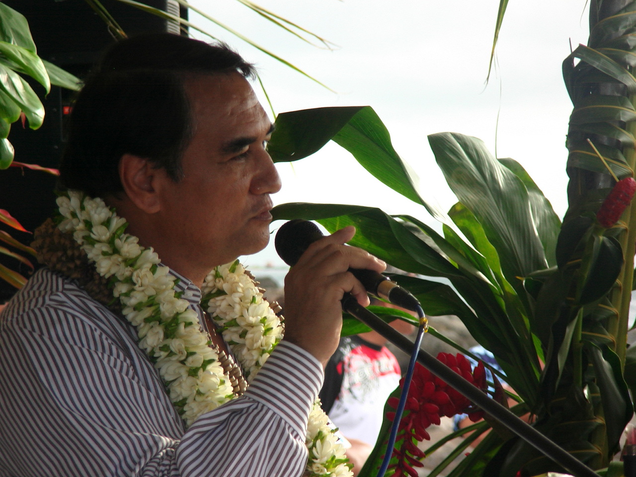 PIC_1645.JPG PIC_1645.JPG