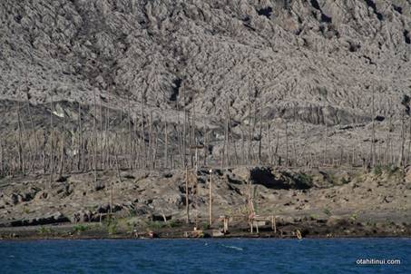 image021.jpg image021.jpg