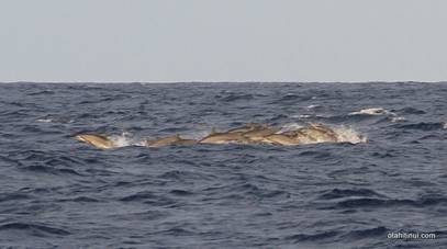 image022.jpg image022.jpg