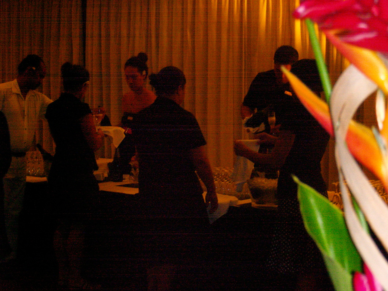 PIC_2156.JPG PIC_2156.JPG