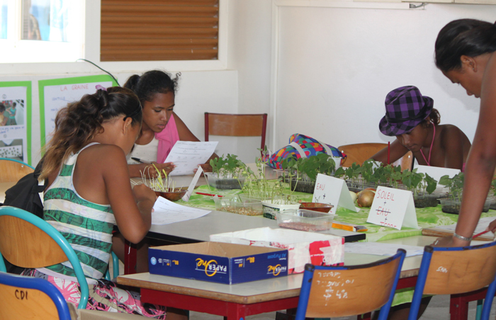 fête de la science 2010 flore.jpg fête de la science 2010 flore.jpg