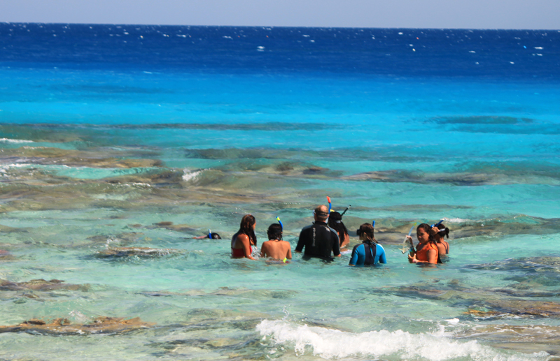 fête de la science 2010 sentier aquatique.jpg fête de la science 2010 sentier aquatique.jpg