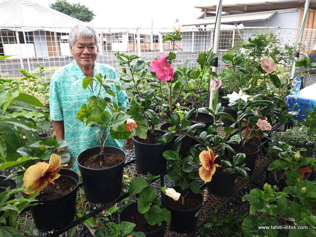 Papa Capo vous présentera ses nouvelles fleurs. Papa Capo vous présentera ses nouvelles fleurs.
