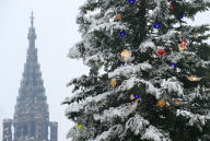 000_Par3630288_THUMBS192.jpg 000_Par3630288_THUMBS192.jpg