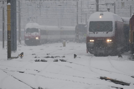 000_Par3634584.jpg 000_Par3634584.jpg