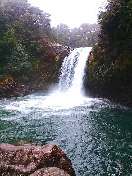 Tongariro 5 Wairere stream