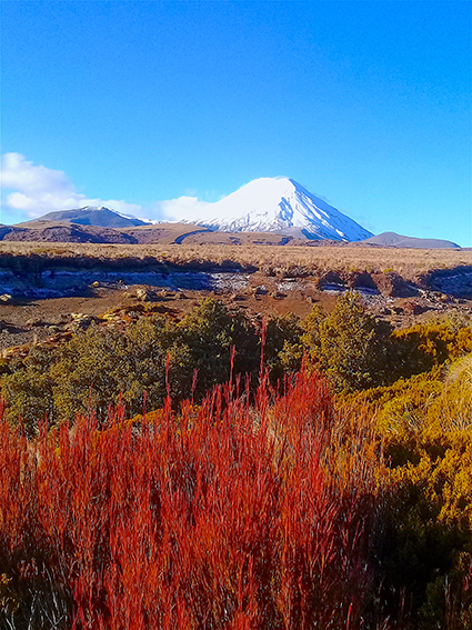 Tongariro 12