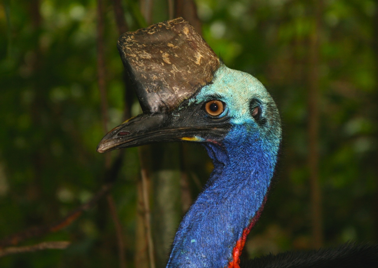 Cass_Mid.jpg Cass_Mid.jpg