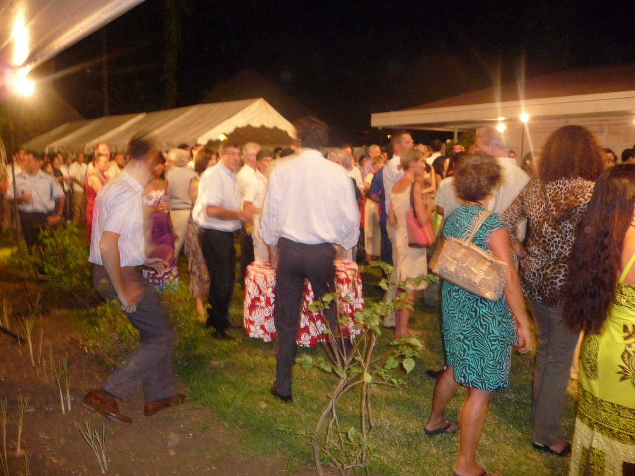 P1010579.JPG P1010579.JPG