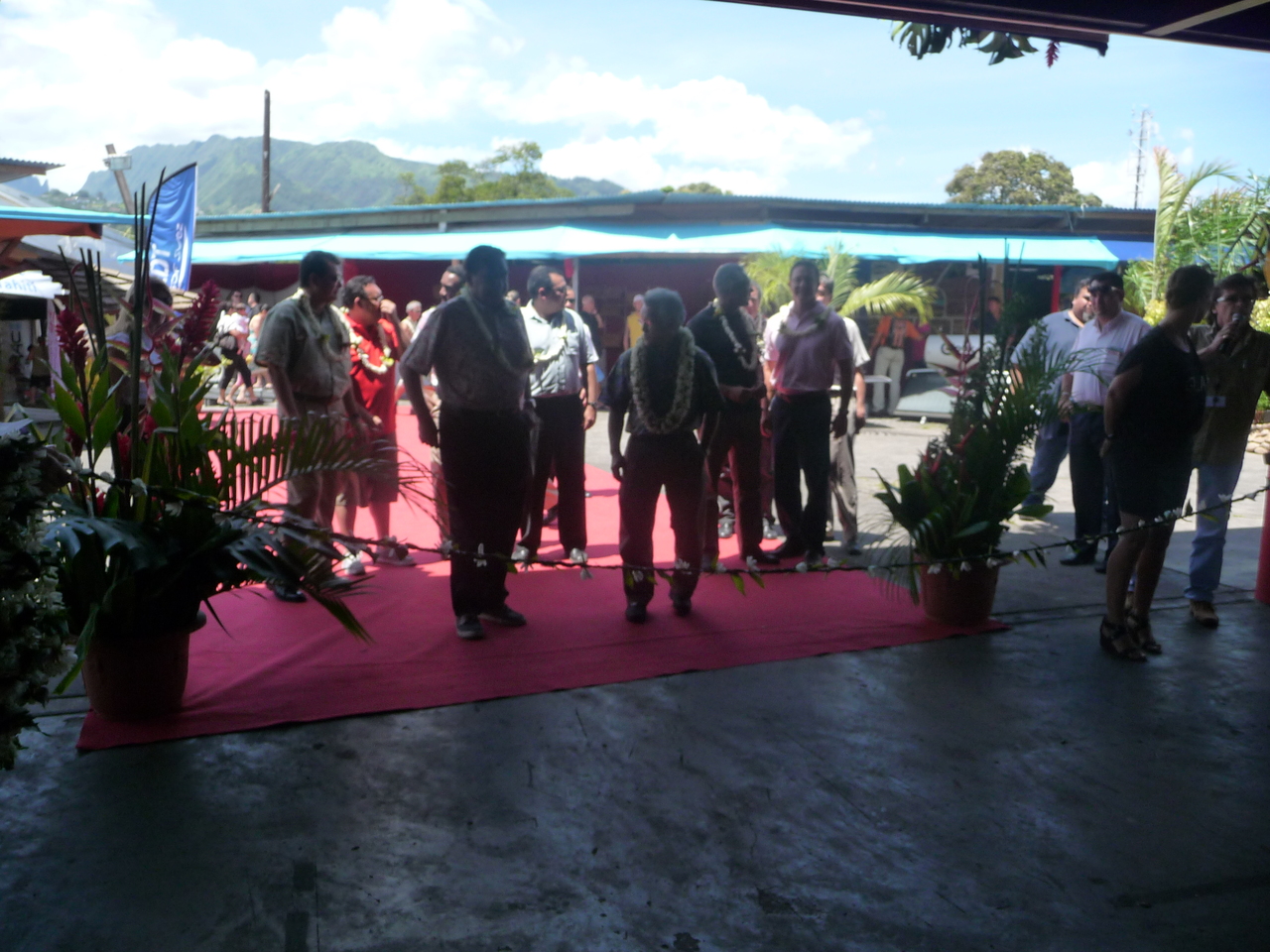 P1010822.JPG P1010822.JPG