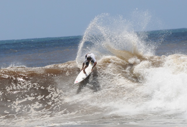 1_THC_Ph_LS_TERIINATOOFA_Hira_086.jpg 1_THC_Ph_LS_TERIINATOOFA_Hira_086.jpg