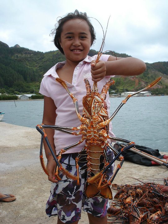 33825_185333981492232_100000468945144_637631_2444486_n.jpg 33825_185333981492232_100000468945144_637631_2444486_n.jpg