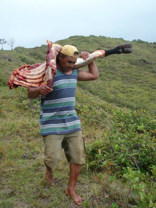 163121_185336574825306_100000468945144_637656_4491358_n.jpg 163121_185336574825306_100000468945144_637656_4491358_n.jpg