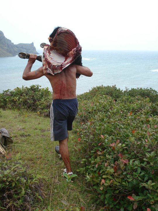 163170_185336418158655_100000468945144_637654_304462_n.jpg 163170_185336418158655_100000468945144_637654_304462_n.jpg