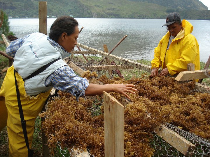 163254_185315124827451_100000468945144_637255_3858123_n.jpg 163254_185315124827451_100000468945144_637255_3858123_n.jpg