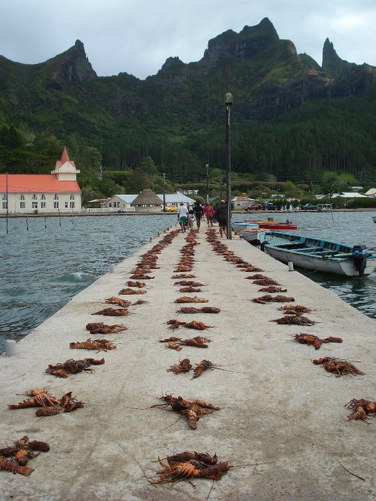 165224_185334178158879_100000468945144_637635_4249086_n.jpg 165224_185334178158879_100000468945144_637635_4249086_n.jpg