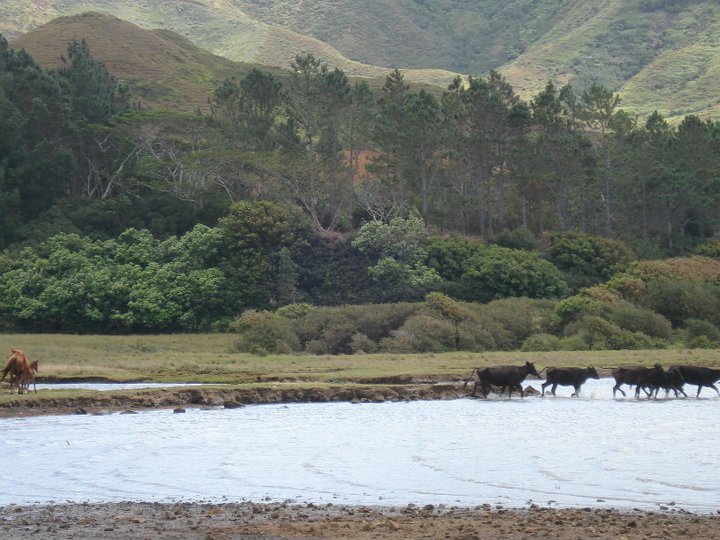 165534_185351231490507_100000468945144_637952_81402_n.jpg 165534_185351231490507_100000468945144_637952_81402_n.jpg