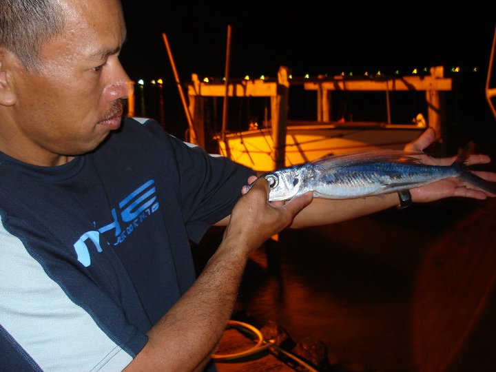 168236_185316088160688_100000468945144_637276_3168350_n.jpg 168236_185316088160688_100000468945144_637276_3168350_n.jpg