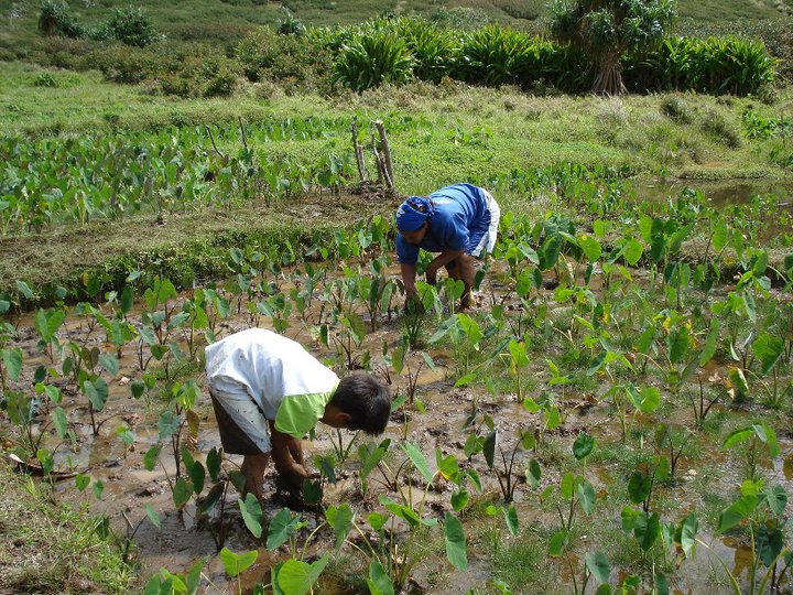 168255_185359414823022_100000468945144_638105_6859980_n.jpg 168255_185359414823022_100000468945144_638105_6859980_n.jpg