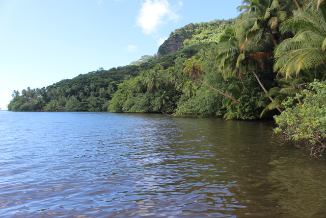 Le domaine près de la baie. Le domaine près de la baie.