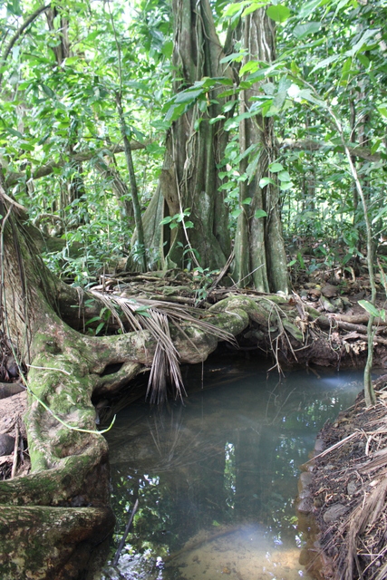 Sur le domaine. Sur le domaine.