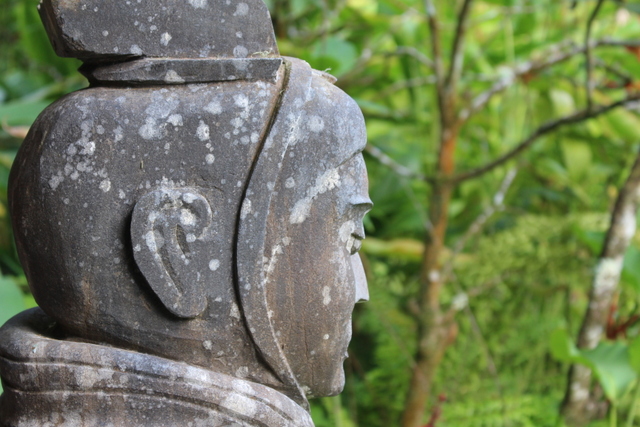 Dans le jardin. Dans le jardin.