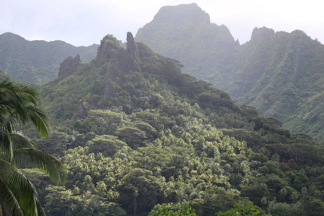 Vue de la maison. Vue de la maison.
