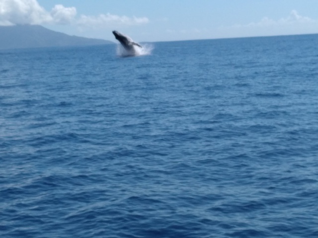 Crédit Régis Technical Diving.