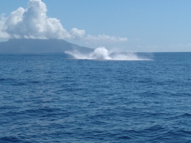 Crédit Régis Technical Diving.