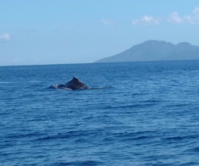 Crédit Régis Technical Diving.