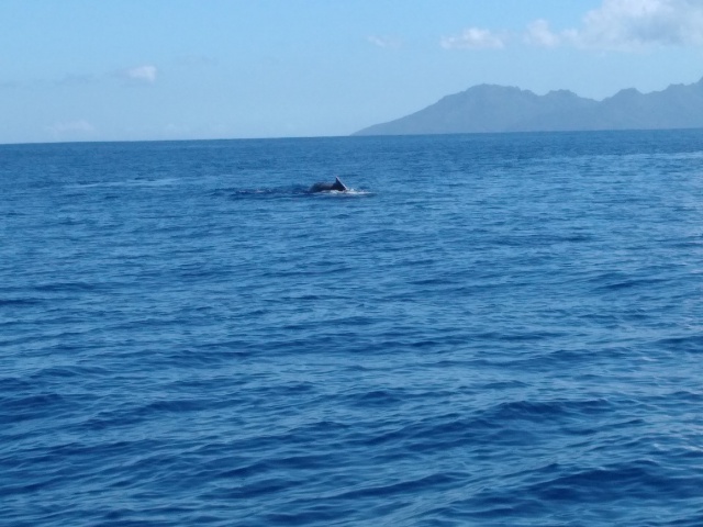 Crédit Régis Technical Diving.