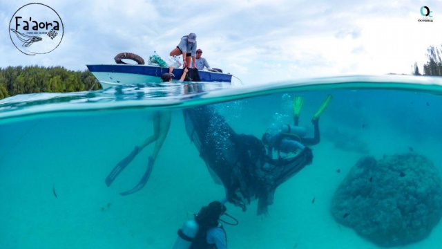 Fa'aora, évaluer pour solutionner la problématique des déchets en mer.