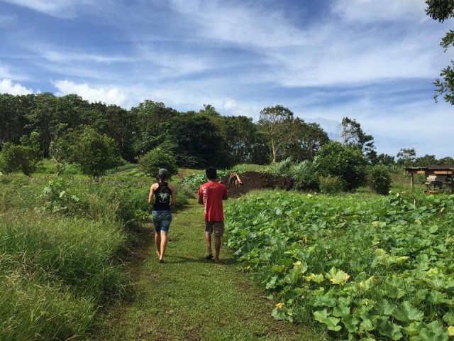 Sur le terrain Sur le terrain