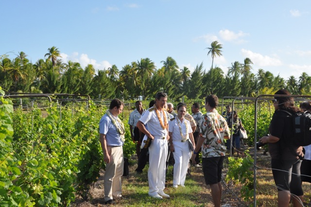 15 - Visite vignoble (2) 15 - Visite vignoble (2)