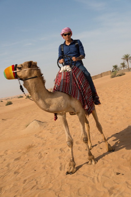 Photo prise à Dubaï aux Émirats arabes unis en 2016. Photo prise à Dubaï aux Émirats arabes unis en 2016.